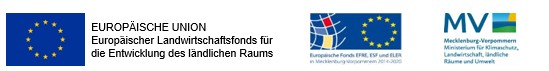 eur-logo-kita-kv eur-logo-kita-kv