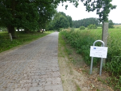 ländlicher Weg Grünow